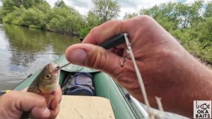 Нахлыст. Язи клюют до обеда...