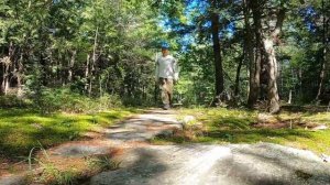 Грибы в Канаде (Квебек)