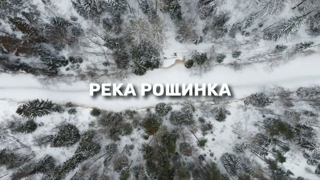 Линдуловская роща, 11 декабря 2021. Как добраться на машине, где припарковаться, что на маршруте
