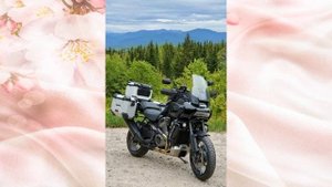 Пан Америка. Харлей