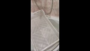 Готовим зеленый солод