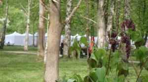 Фестиваль Цветы Победы | Мотоцикл МВ-750