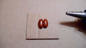 ЧЕБУРАШКИ поделки из каштанов