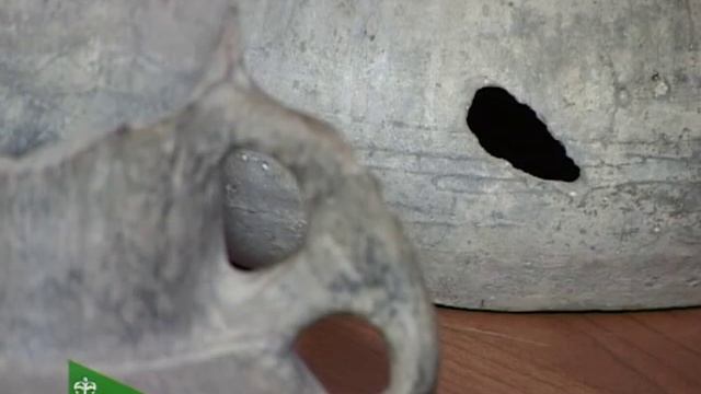 Красногвардейский краеведческий музей «История одного экспоната» . 04.08.2015 смотреть онлайн