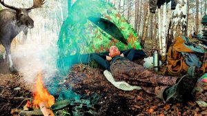 В ЛЕС НА НЕДЕЛЮ | ЗВЕРИ ПРИШЛИ В ЛАГЕРЬ |  НАКОПАЛ МЕТАЛЛА.