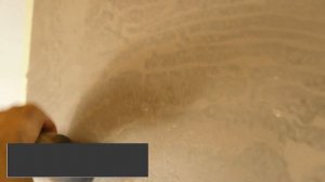 "ОКАМЕНЕЛОЕ ДЕРЕВО" - оригинальный эффект нанесения Travertino Naturale