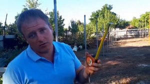 Как построить теплицу (часть 1)