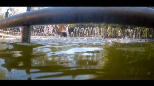 Фонтаны Тюмени