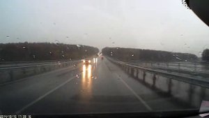 молния ударила в дерево