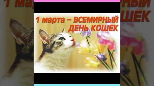 С Днём кошек!!! 🐱🐱🐱😻 смотреть онлайн