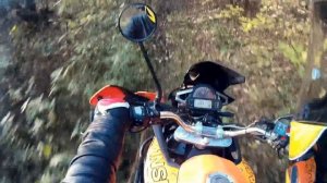 Minsk TRX300i в лесу