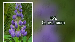 Гимны надежды 165  О, нет, никто (-)