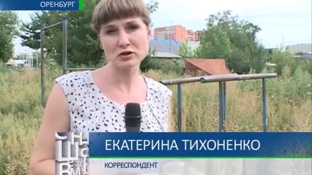 Осторожно, амброзия! 21 08 14