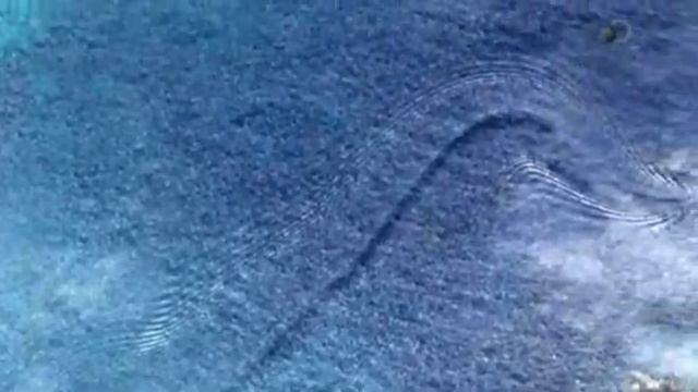 03 Загадки планеты Земля