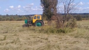 Корчевание Трактором ЮМЗ.Разработка поля.