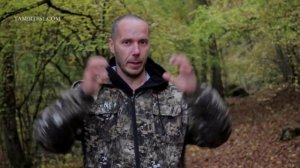 Кто обучал Шавката Древнее и современное