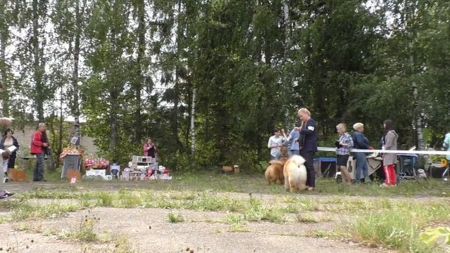 Сравнение на Лучшего кобеля смотреть онлайн