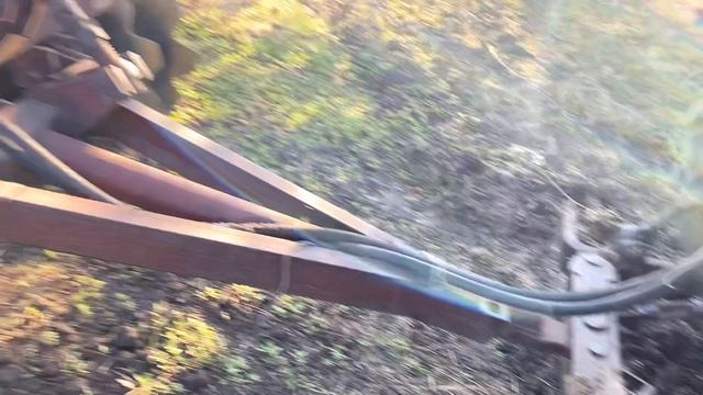 Чем я дискую траву между рядов деревьев