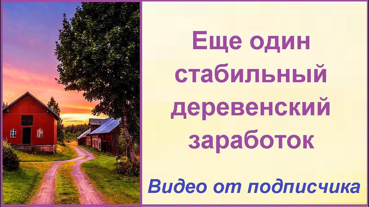 Выгодный перепелиный бизнес - видео от подписчика - делимся опытом