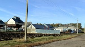 Деревня Цветовка.