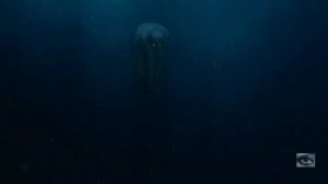 Одинокий в ночи - Виктор Зинчук