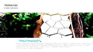 Садовые дорожки на даче