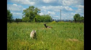 Озёры Город Озеры