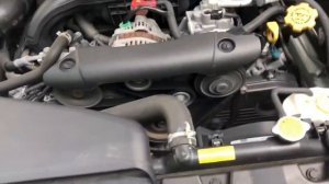 Subaru 2011 Outback cold start and right side