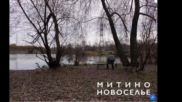 Ландшафтный дизайн Разбор примеров проекта смотреть онлайн