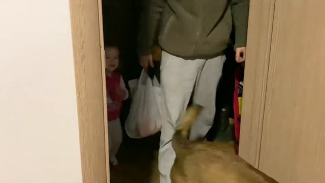 Как разговаривают дети в 2 года и 9 месяцев . Детский лепет . смотреть онлайн