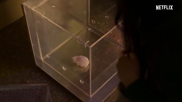 ? Лучшие новые сериалы, вышедшие в январе 2022 ?