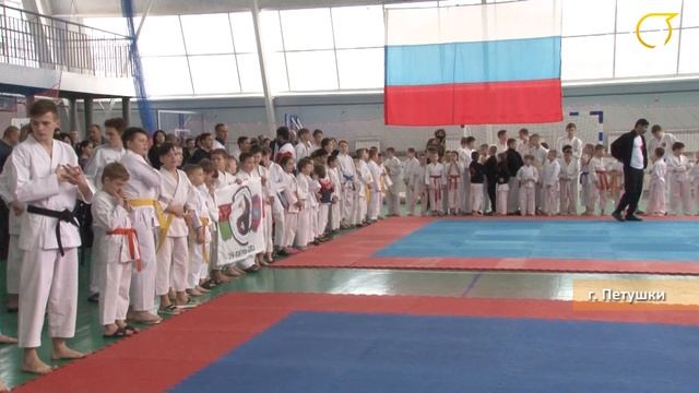 Кубок Владимирской области по восточному боевому единоборству сётокан смотреть онлайн