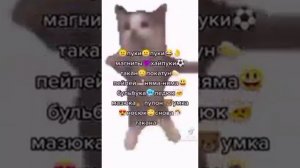 пуки пуки магниты хайпуки, но длится 1 урок