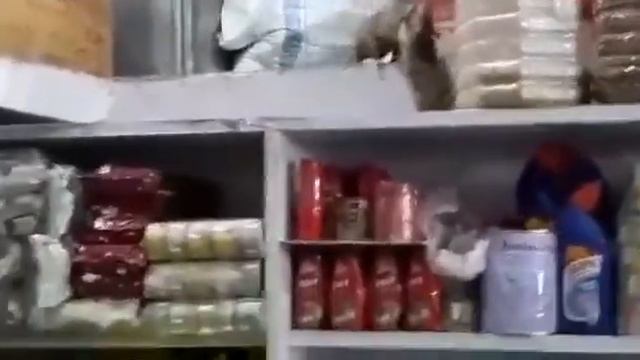 Две крысы дерутся на полке с продуктами.