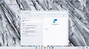 How to Install .NET Framework 2.0, 3.0 and 3.5 in Windows 11 [Tutorial]