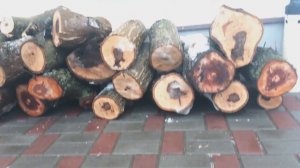 Забираем дрова и делаем из них классные вещи! Изделия ИЗ ДЕРЕВА! We are looking for WOOD and make..