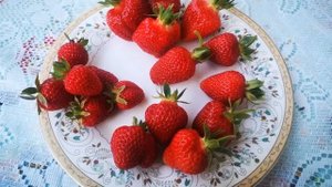 Клубника - садовая земляника. Сравню ягодку : Азия, Клери, Альбион, СанАндреас  #клубника