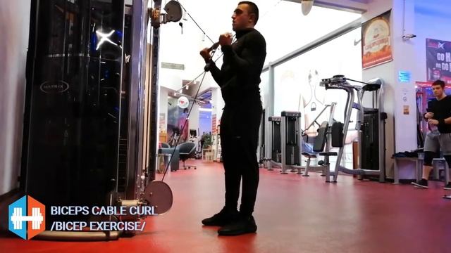 Biceps cable curl / Бицепсово сгъване на долен скрипец смотреть онлайн