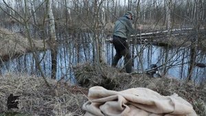 Как сделать ДЕШЁВЫЙ скрадок для ВЕСЕННЕЙ ОХОТЫ своими руками за 3 минуты.