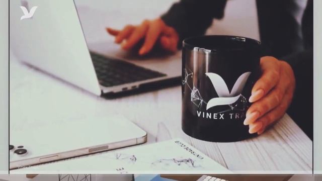 #VinexTrade О компании VinexTrade