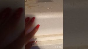 инкубатор несушка. как узнать что инкубатор правильно показывает температуру.