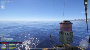 РР4 ⚡️ Фарм 800 в час  💰 На Поролон ⚡️ Beluga Venga 10000 🌊️ Норвежское Море  💫 sani0K 👻