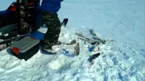 Рыбалка трески на Чукотке (Лорино).