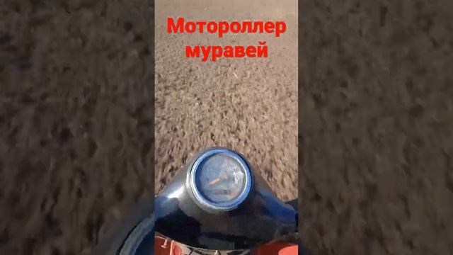 мотороллер муравей ? Прет как танк смотреть онлайн
