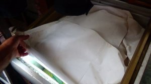 Получаю ПЕРГУ и ПЖЛВМ