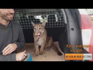 Прямой эфир. 11 августа