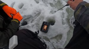 Рыбалка с тремя ночёвками. Живём на старой даче. Жерлицы, щука. Готовим на огне в казане.