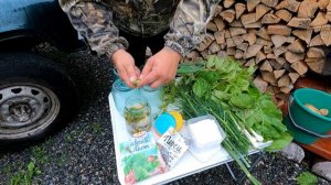 КАК СОЛИТЬ ГРУЗДИ САМЫЙ ВКУСНЫЙ деревенский РЕЦЕПТ