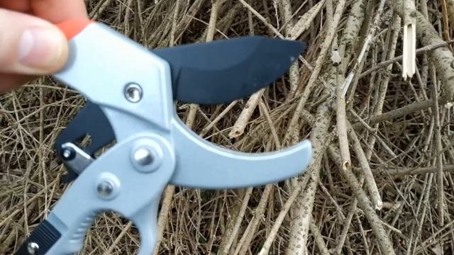 Садовый секатор в работе или отдыхаю на природе