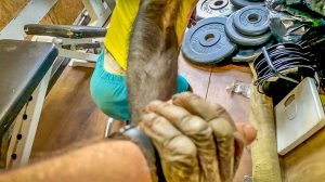 ШИМПАНЗЕ которая НИКОГДА не ВЫХОДИЛА НА УЛИЦУ! Будем ли мы работать в цирке?